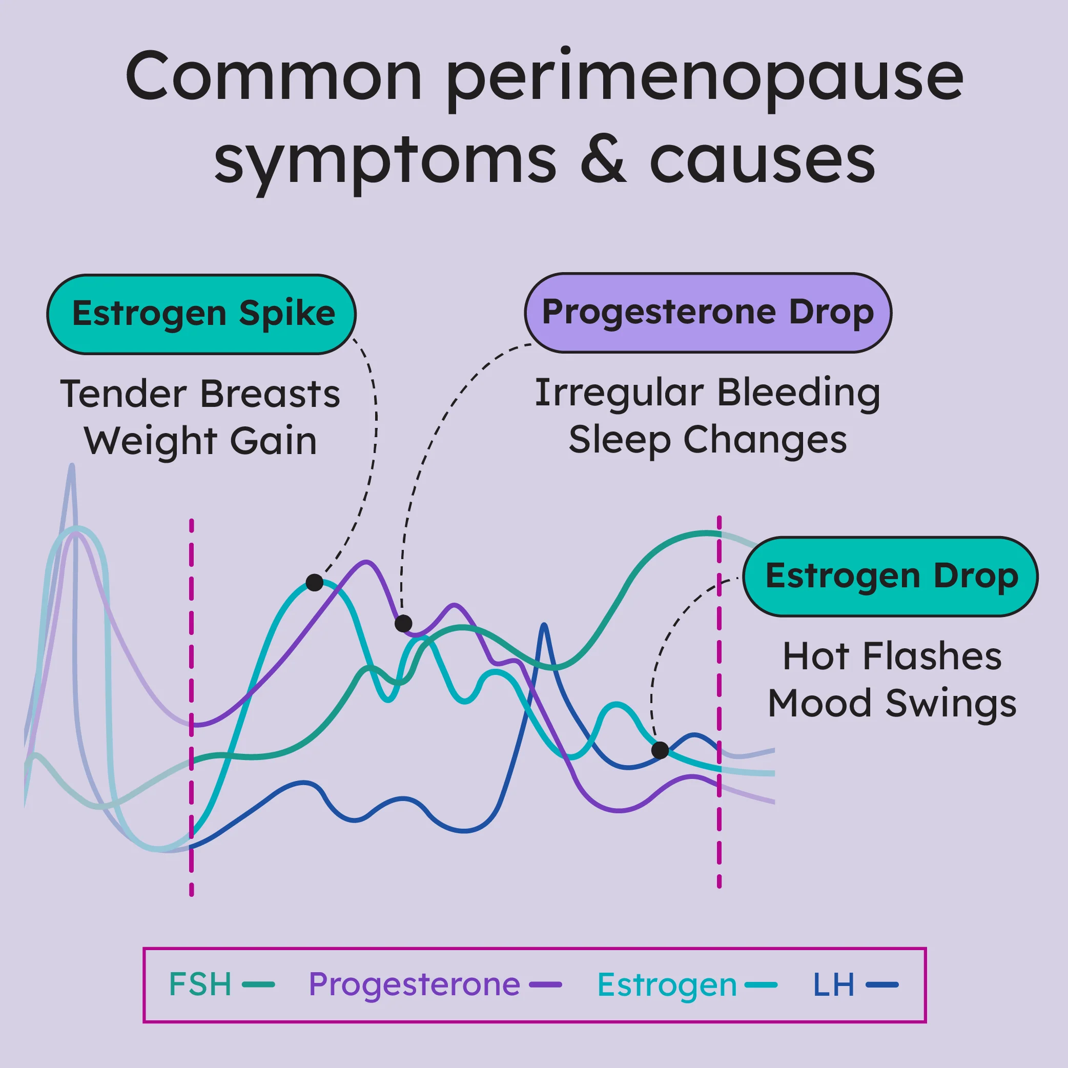 Empower Perimenopause Test Kit - Oura x Proov - Image 4
