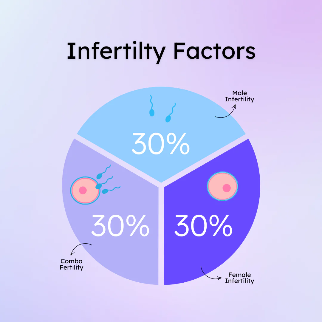 Hers and His Advanced Fertility Test for Couples - Image 5
