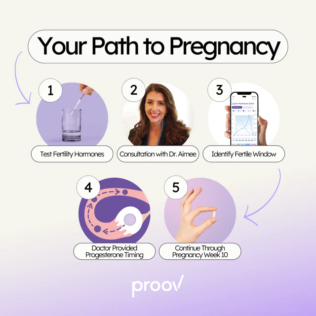 Path to Pregnancy - Fertility Treatment with Coaching FSA Eligible - Image 2