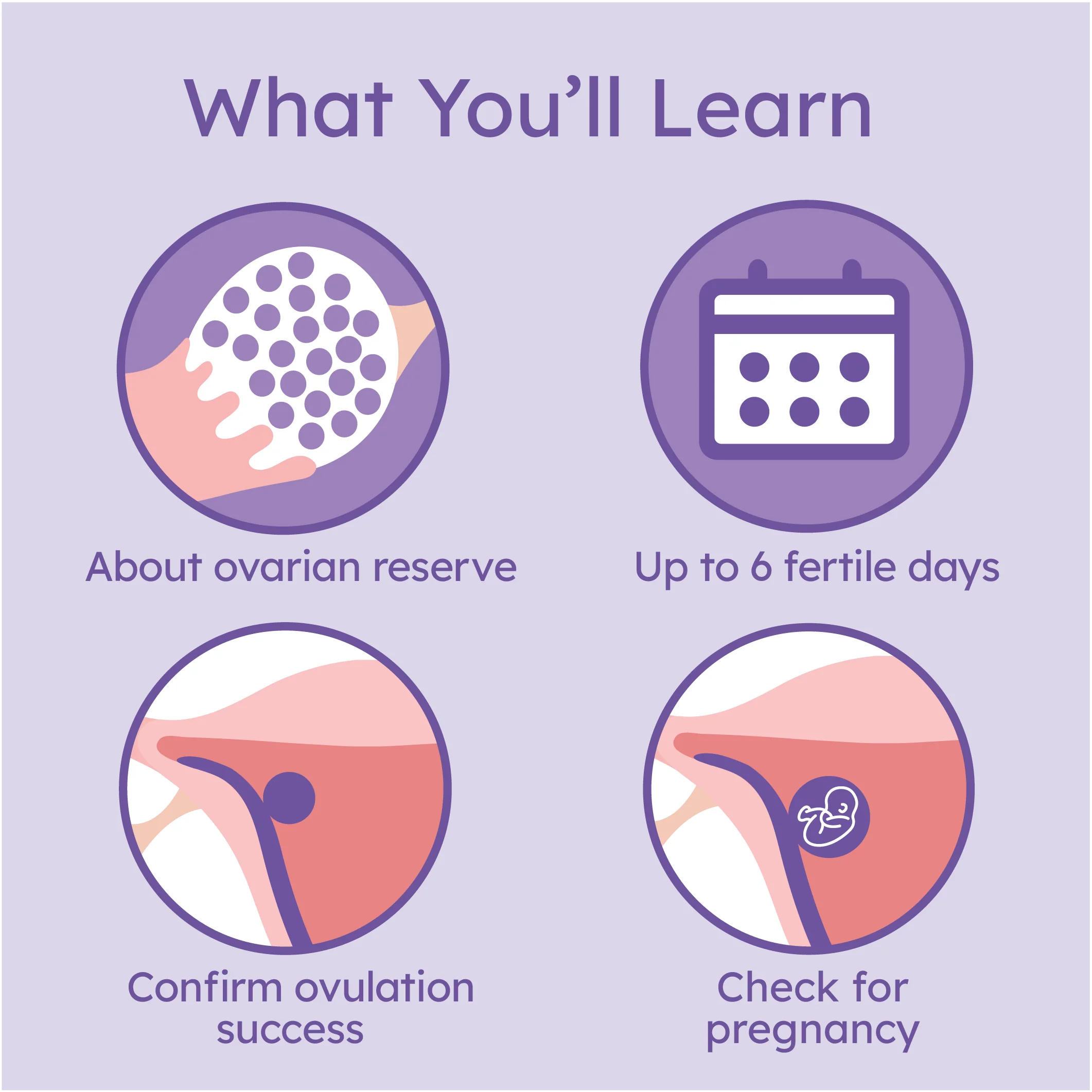 Path to Pregnancy - Fertility Treatment with Coaching HSA Eligible - Image 4