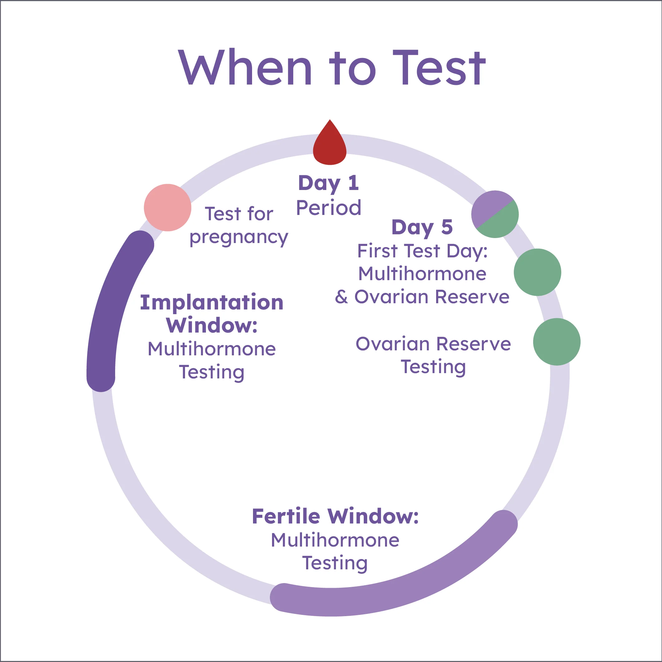 Proov Clinical: Dr. Aimee's F.A.S.T. Method - Path to Pregnancy Treatment Plan - Image 7